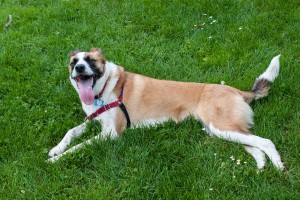 ...And Can't Stop 'Till She Looks Like This